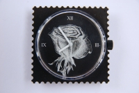 Motiv2_BL_100012_Rose weiss auf schwarzem Untergrund